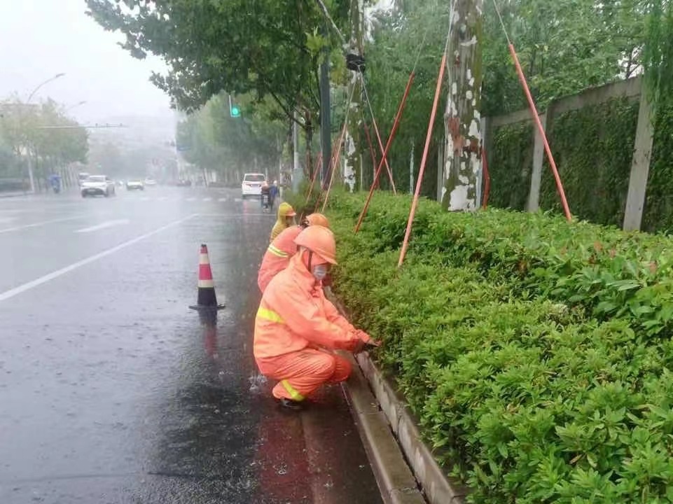 168体育 168体育官网627人、1辆车区绿化市容局集中力量应对台风(图5)