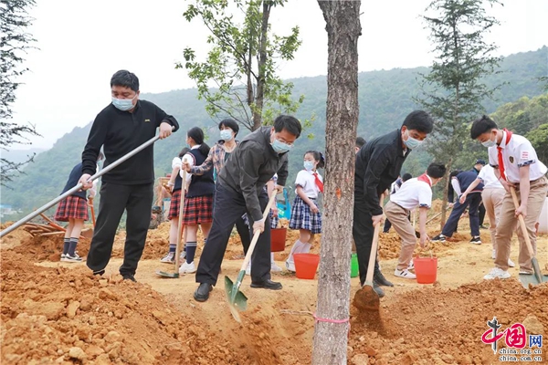 168体育 168体育官网红河州启动“城乡绿化美化三年行动全民义务植树项目”和“国家森林城市”创建(图3)