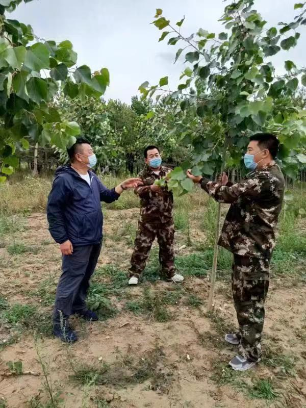 扎根基层 献身绿化——记全国绿化劳动模范、黑龙江省富裕林场高级工程师张大伟168体育 168体育官网(图3)