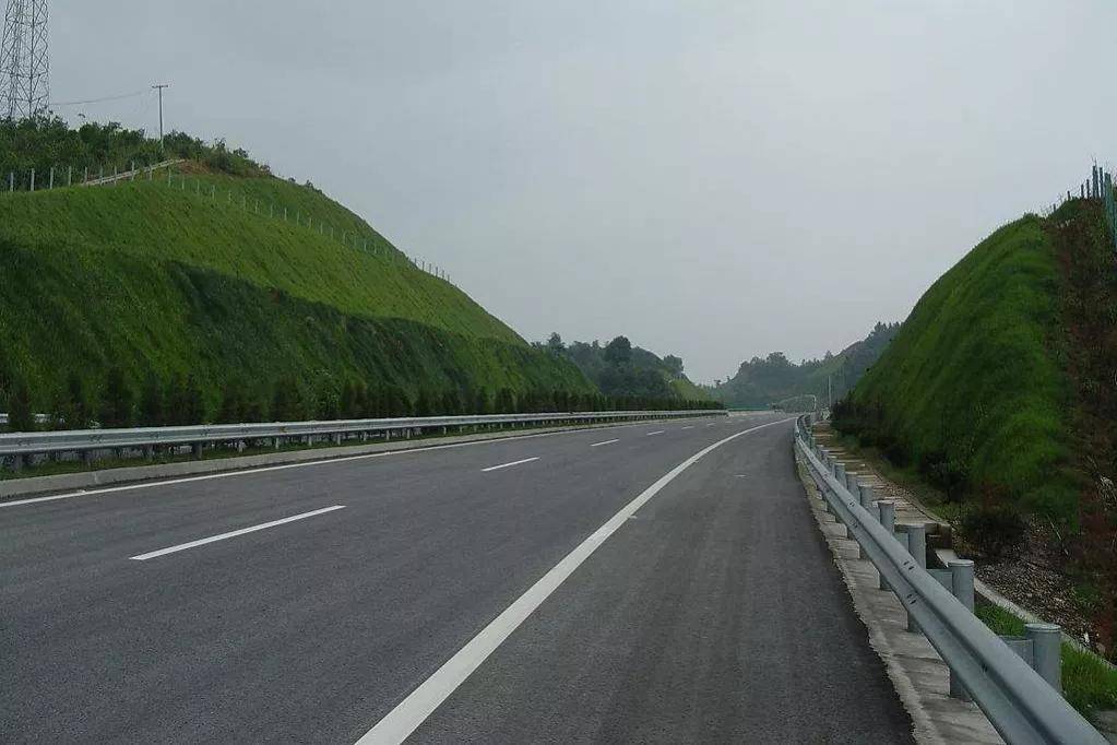 经常跑高速的人都知道高速公路两边的土地非常辽168体育 168体育官网阔但却只能种植绿化带不能种植庄稼为此很多人都有疑惑庄稼也可以起到绿化的作用呀为何非要种树呢？(图14)