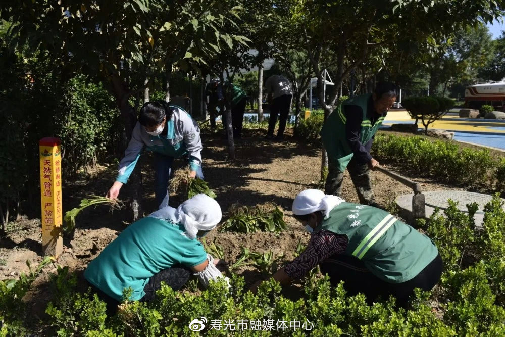 寿光园林建设集团：把握秋季好时节 绿化补植增色168体育 168体育官网彩(图2)