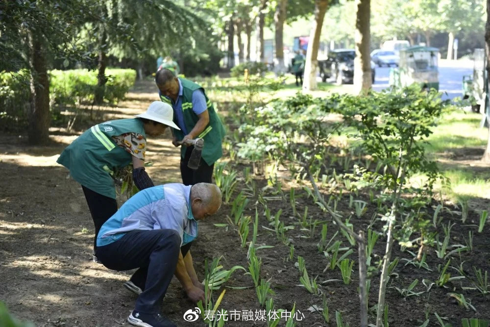 寿光园林建设集团：把握秋季好时节 绿化补植增色168体育 168体育官网彩(图1)