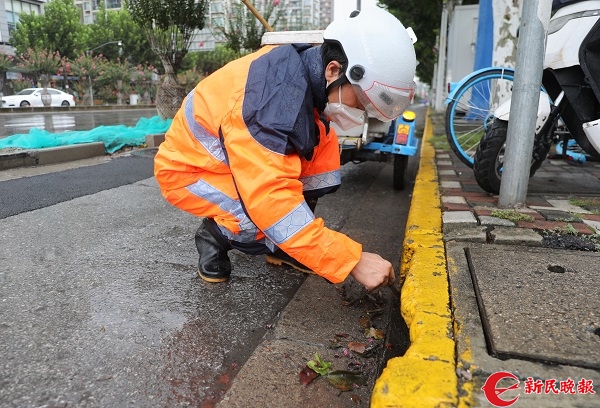 清理下水口 加固行道树 台168体育 168体育官网风前夕绿化市容部门为城市安全保驾护航(图1)