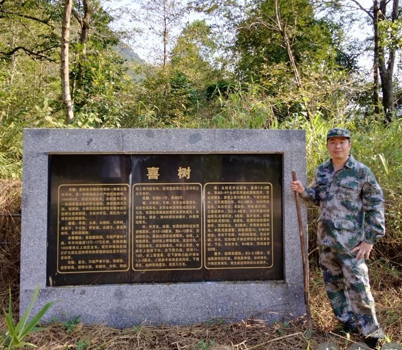 168体育 168体育官网全国绿化劳动模范邓海亮：眷恋山林不负青山 “林二代”接力续写“林业梦”(图1)