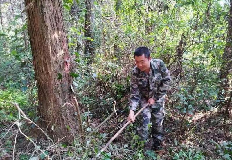 168体育 168体育官网全国绿化劳动模范邓海亮：眷恋山林不负青山 “林二代”接力续写“林业梦”(图2)