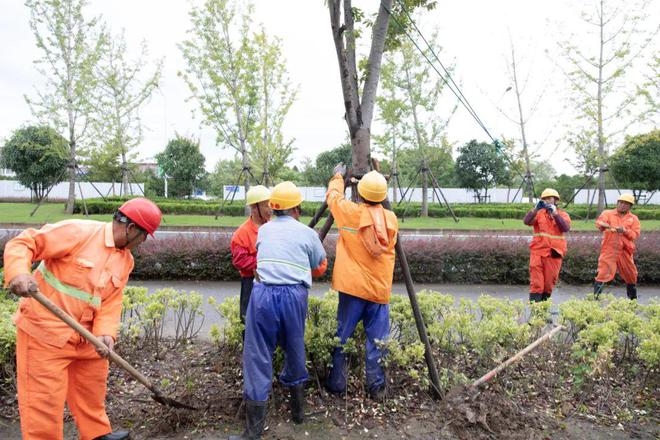 迎战台风“梅花”崇明确保城乡运行平稳有序168体育 168体育官网(图5)