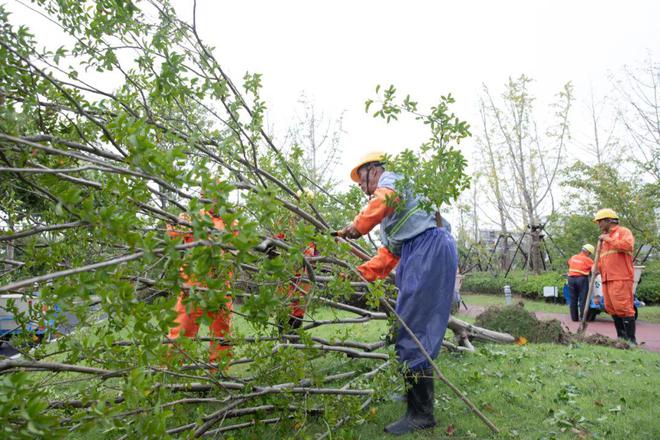 迎战台风“梅花”崇明确保城乡运行平稳有序168体育 168体育官网(图6)