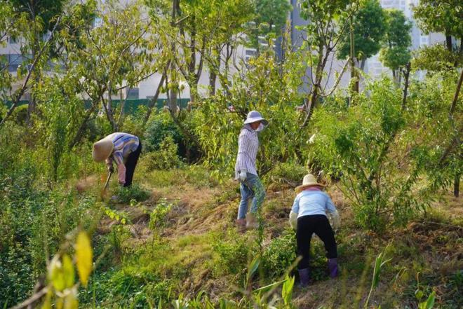 168体育 168体育官网刷新城市“颜值”贺州有大动作！(图3)