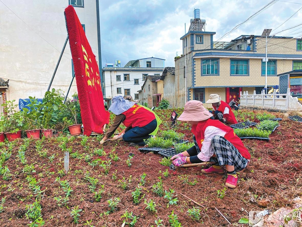 168体育 168体育官网绿化美化提升乡村“颜值”(图1)