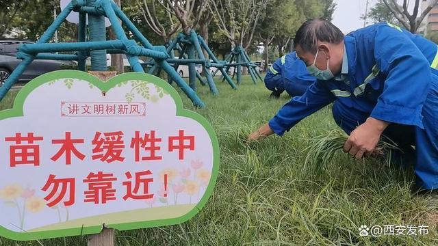 168体育 168体育官网绿色呼吸 生态之肺 烟雨西安似江南(图3)