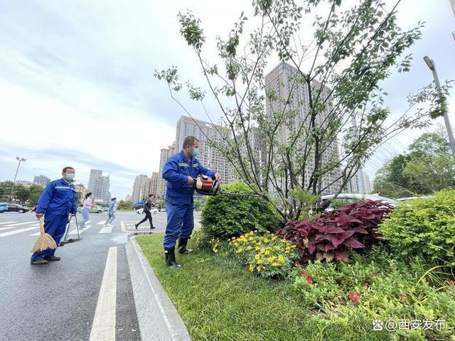 168体育 168体育官网绿色呼吸 生态之肺 烟雨西安似江南(图1)