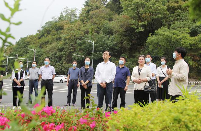 汉168体育 168体育官网阳区人大常委会开展城市绿化条例执法检查 助力优化城市环境(图2)