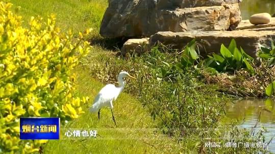 抓河道建设 168体育 168体育官网还河水清澈(图4)