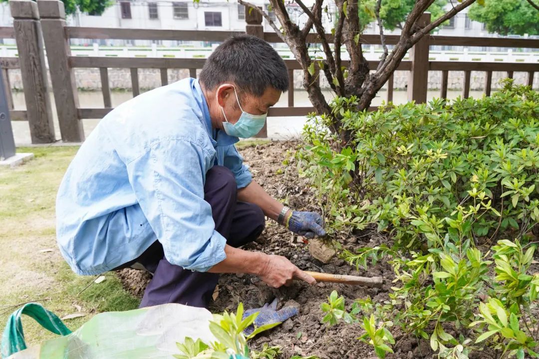 道路及两侧绿化带集中整治消隐患、提颜值！168体育 168体育官网(图2)