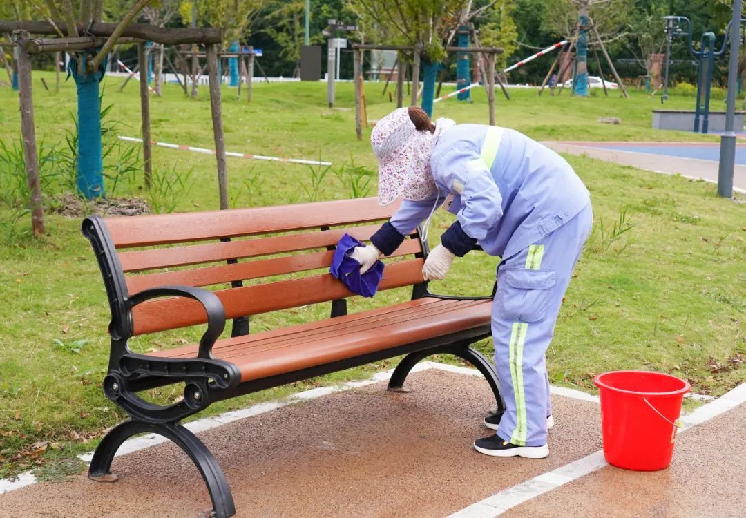 道路及两侧绿化带集中整治消隐患、提颜值！168体育 168体育官网(图3)