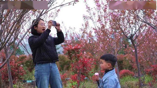 贵168体育 168体育官网州平塘｜打造花卉苗木基地 美丽乡村提“颜”增“值”(图2)