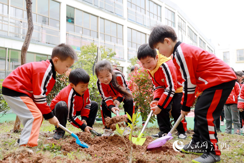 高清图：植树造林为家园添绿168体育 168体育官网(图2)