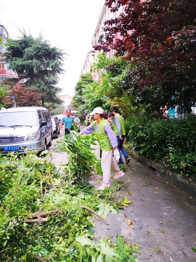 168体育 168体育官网绿化带无人管？费用谁来出？普陀这个“红色议事厅”为居民“支招”！(图7)