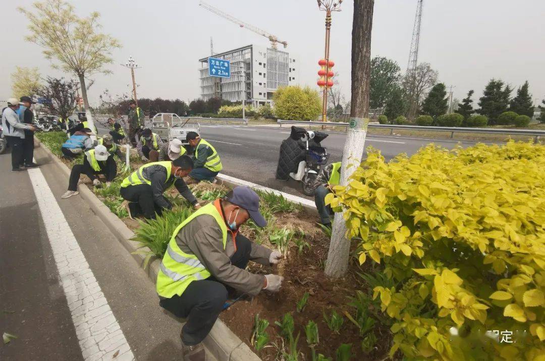 168体育 168体育官网【做文明市民 创文明城市】定州：推进精细化绿化养护 提升群众生态幸福指数(图1)