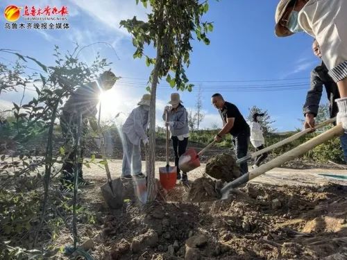 168体育 168体育官网天山区秋季绿化工作全面启动(图3)