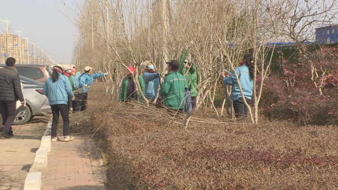 提升绿化品质 扮靓城市“168体育 168体育官网颜值”(图2)