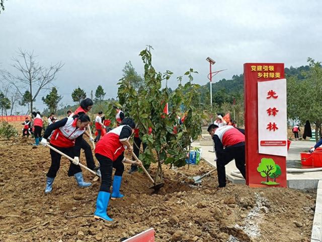 168体育 168体育官网？广东再掀义务植树热潮乡村绿化已种植苗木371万株(图1)