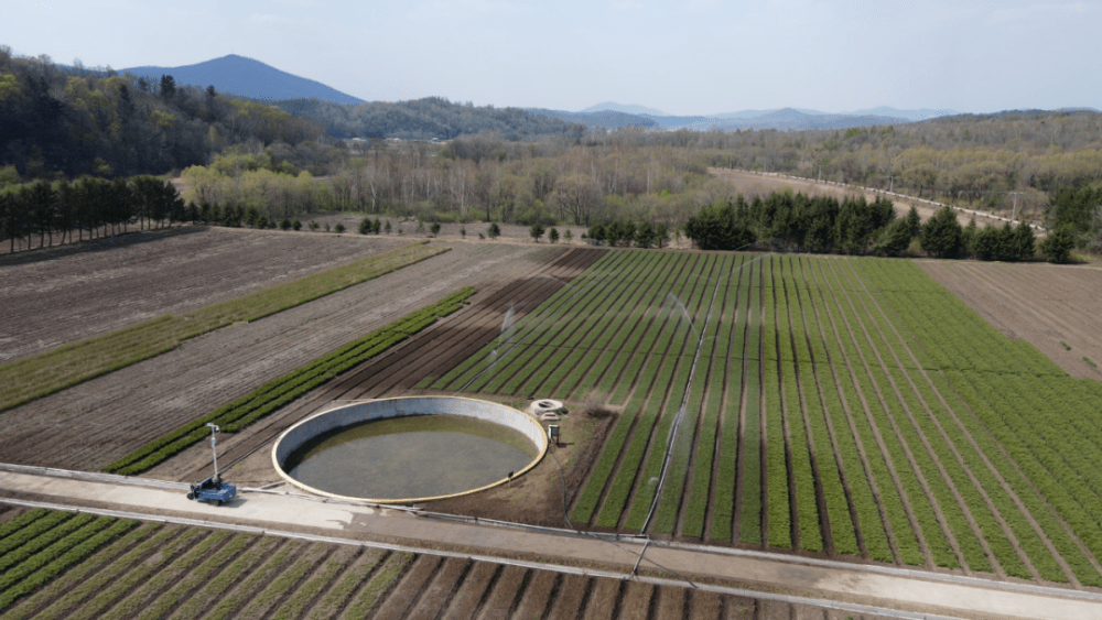 龙江森工集团：打造国有苗圃集群 夯实生态建设根基168体育 168体育官网(图7)