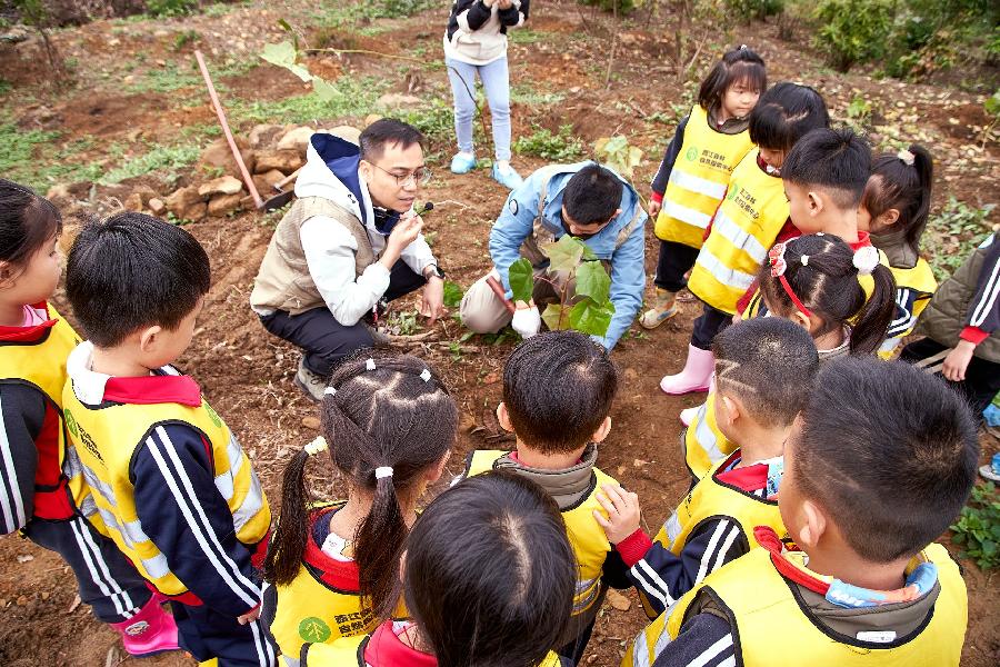 168体育 168体育官网已种植苗木超900万株！广东扎实推进​乡村绿化工作(图1)