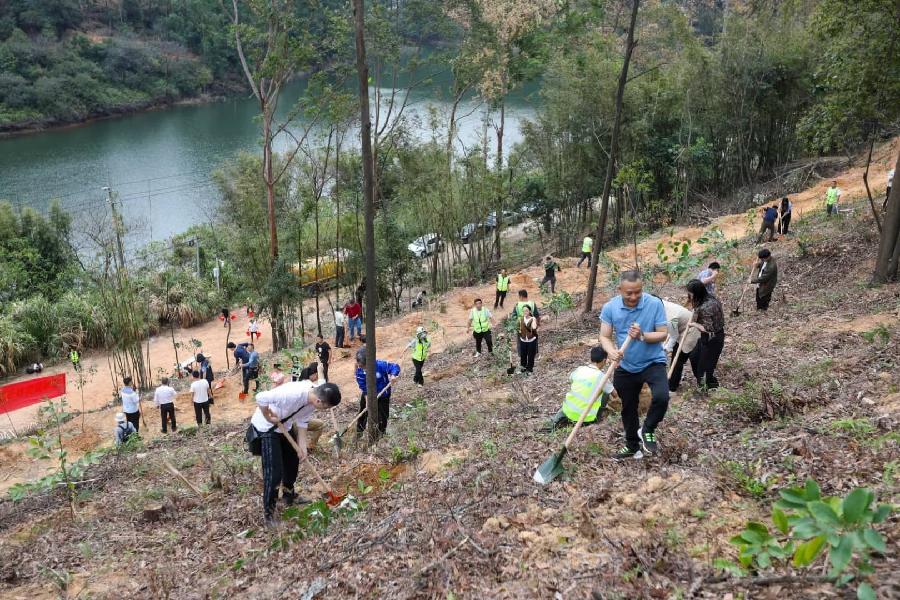 168体育 168体育官网已种植苗木超900万株！广东扎实推进​乡村绿化工作(图2)