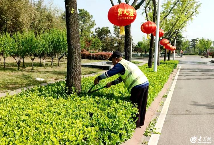 168体育 168体育官网临沭县加强园林绿化养护提升城市精细化管理工作水平(图3)