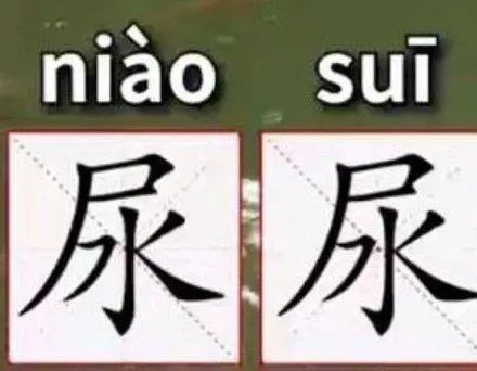 168体育 168体育官网尿尿的正确读音是什么？相信大部分人都念错了！正确读音很少用！(图1)