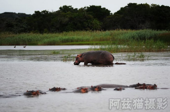 世界湿地日 盘点全球著名的湿地景168体育 168体育官网观(图1)